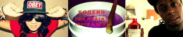 гидра Бикин