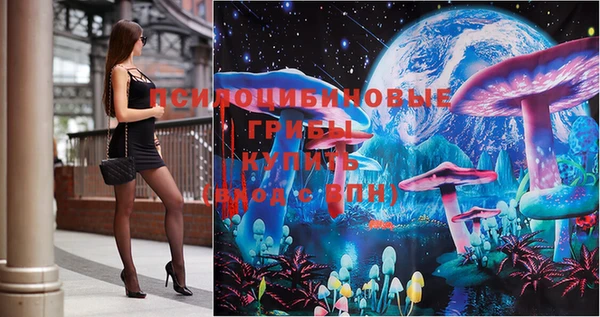 тгк Магадан