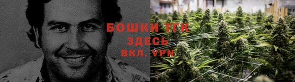 тгк Магадан