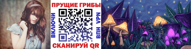 omg ССЫЛКА  Новоульяновск  Галлюциногенные грибы ЛСД  купить наркотик 