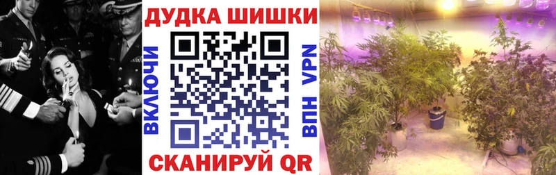 Шишки марихуана Ganja цены МЕГА как зайти Новоульяновск